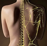 Osteopatia.jpg